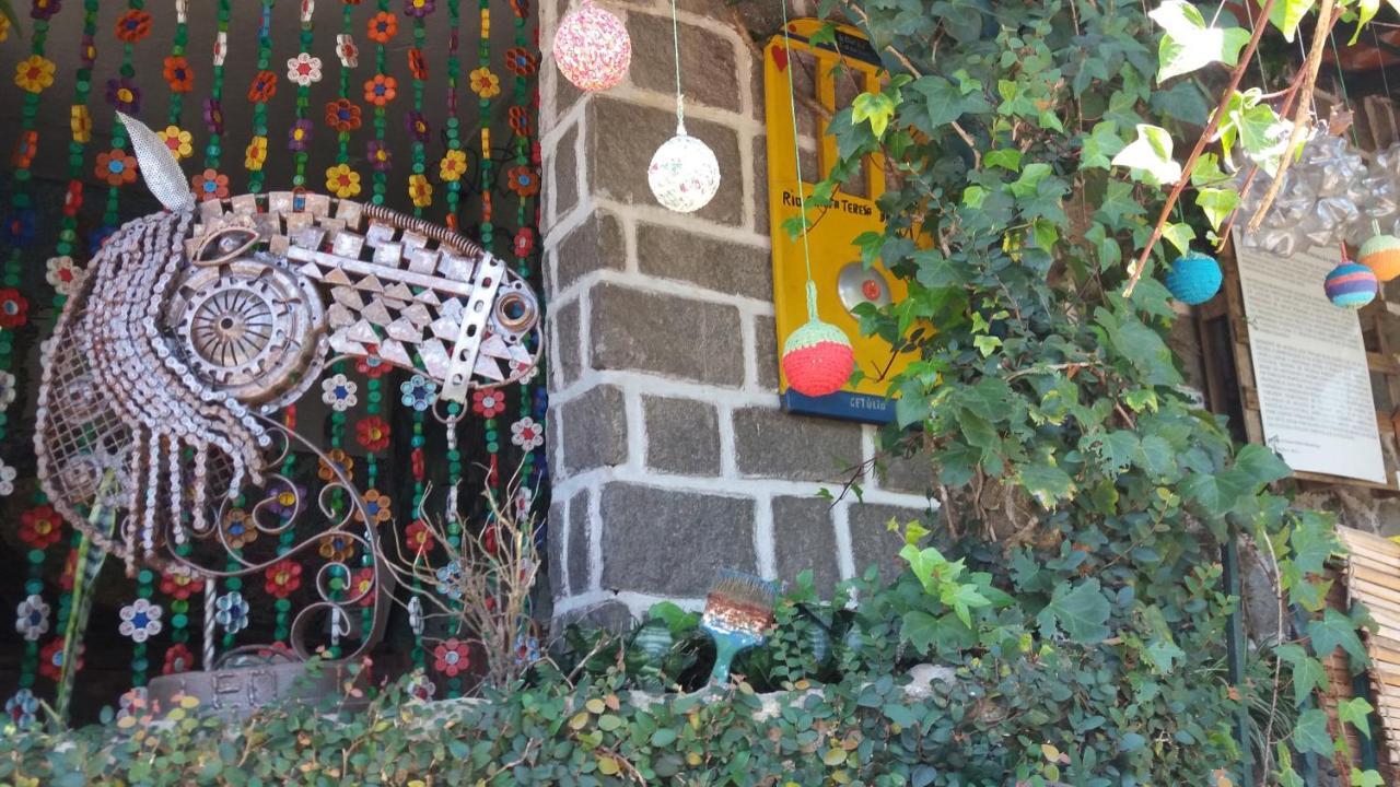Petrópolis Criatividade Na Serra 아파트 외부 사진