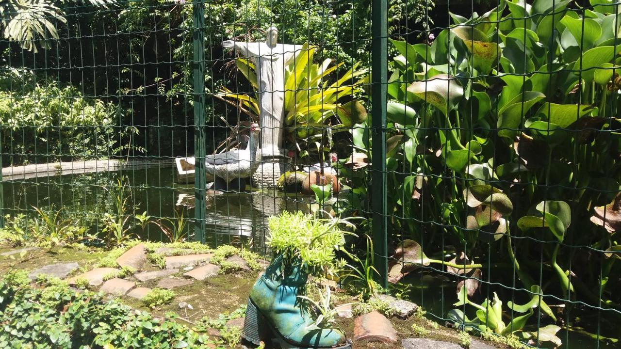 Petrópolis Criatividade Na Serra 아파트 외부 사진